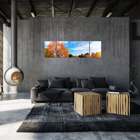 Obraz - Jesienny krajobraz (170x50 cm)