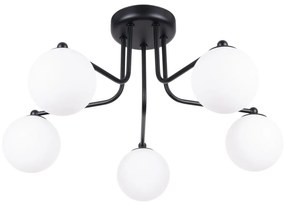 Czarna lampa sufitowa z 5 kloszami - M056 - Ana