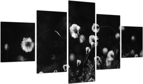 Obraz - Łąka z trawą bawełnianą N⁰1 (125x70 cm)