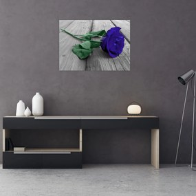 Obraz - Niebieska róża z zieloną łodygą (70x50 cm)