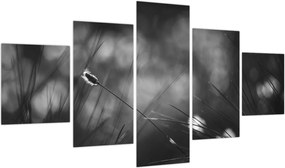 Obraz - Trawa łąkowa (125x70 cm)