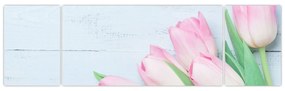 Zdjęcie - Bukiet tulipanów (170x50 cm)