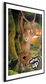 Plakat What's Up 29,7x42 cm z ramą czarną z marginesem ARTGEIST B