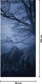 Fototapeta na drzwi - Ciemny las (95x205cm)