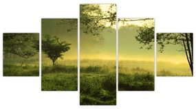 Obraz - Budzący się las (125x70 cm)