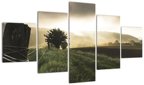 Obraz łąki (125x70 cm)