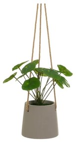 Sztuczna roślina (wysokość 24 cm) Pilea – Casa Selección