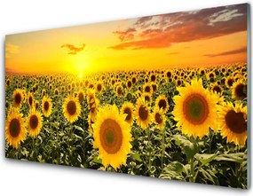 Panel Kuchenny Radosne Pole Słoneczników