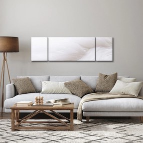 Obraz - Szczegół piórka (170x50 cm)