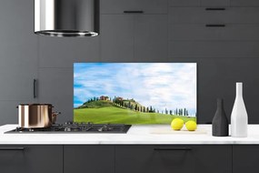 Panel nad blat kuchenny Samotne Drzewo na Polanie