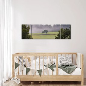 Obraz łąki z drzewem (170x50 cm)