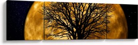 Obraz księżyca i sylwetki (170x50 cm)