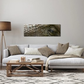 Obraz - Zbliżenie na stare oko słonia (z zegarem) (90x30 cm)