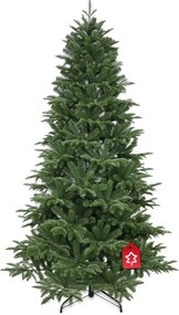 Jodła kaukaska 100% 180 cm