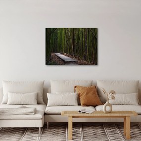 Obraz - Wśród bambusów (70x50 cm)