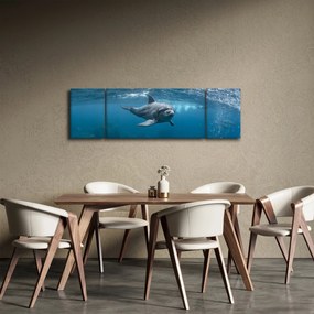 Obraz - Delfin pod wodą (170x50 cm)