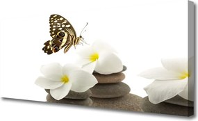 Zdjęcie na płótnie Motyl na Kamiennej Orchidei