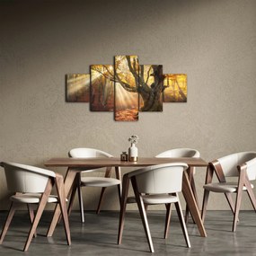 Obraz - Jesienny świt (125x70 cm)