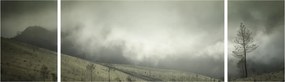 Obraz krajobrazu przed burzą (170x50 cm)