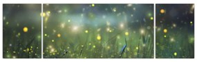Obraz - Magiczna noc (170x50 cm)