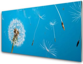 Szkło do Kuchni na Ścianę Ulotność Polnych Dmuchawców