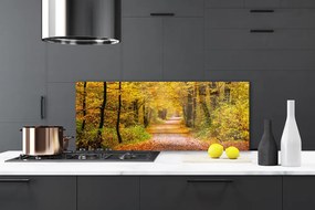 Panel Szklany Spacer Przez Słoneczny Las