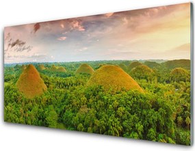 Panel Szklany do Kuchni Egzotyczna Gęstwina Dżungli