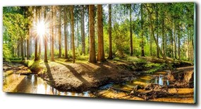 Foto obraz szkło hartowane Panorama las