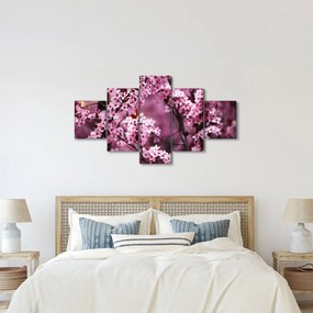 Obraz - Różowa sakura (125x70 cm)