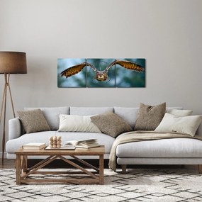 Obraz - Sowa w locie (z zegarem) (90x30 cm)