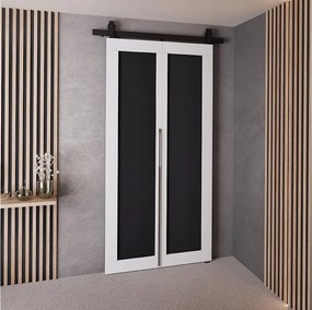 Drzwi Przesuwne QUDIO M1 Biały + Czarny 80