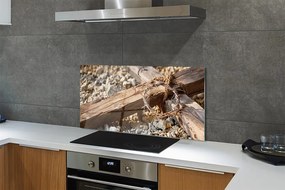 Szklany Panel Krzyż, Skały i Ciernie