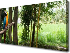 Fotoobraz na płótnie Egzotyczna Papuga w Dżungli