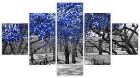 Obraz - Niebieskie drzewa, Central Park, New York (125x70 cm)