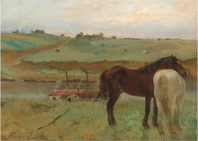 Obraz na szkle - Edgar Degas, Horses in a Meadow, reprodukcje (70x50 cm)