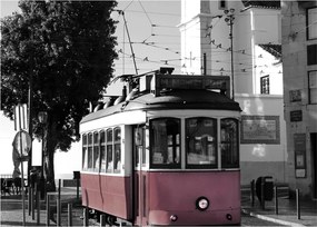 Obraz na szkle - Tramwaj (70x50 cm)