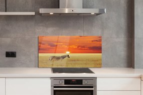 Panel nad Blat Kuchenny Zebra o Zachodzie Słońca