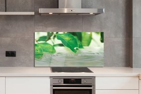 Szklany Panel Krople Deszczu na Liściach