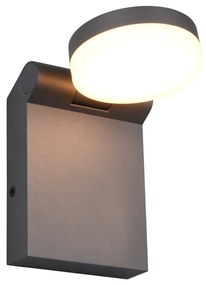 Lampa zewnętrzna (wysokość 19 cm) Adour – Trio