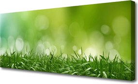 Obraz canvas Świeżość Zielonej Natury