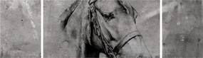 Obraz - Portret konia (170x50 cm)
