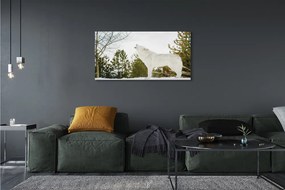 Obraz drukowany na płótnie Wilk w Zimowym Lesie