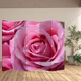 Ekran - Róża (210x170 cm)