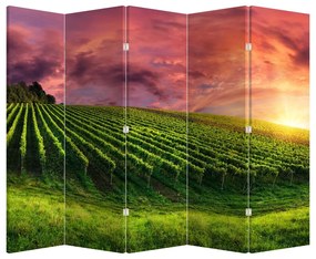 Parawan - Winnica z kolorowym niebem (210x170 cm)