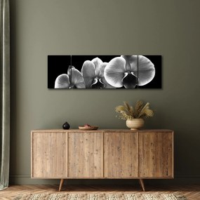 Obraz kwiatu orchidei (170x50 cm)
