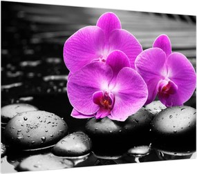 Obraz - Fioletowe orchidee (70x50 cm)