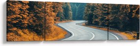 Obraz - Kręta droga (170x50 cm)