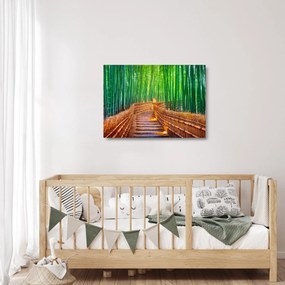 Obraz na szkle - Japoński las bambusowy (70x50 cm)
