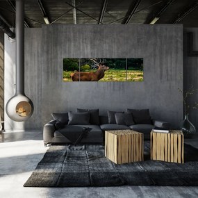 Obraz jelenia (170x50 cm)