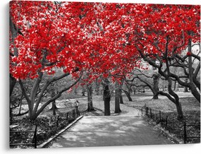 Obraz - Czerwone drzewa, Central Park, New York (70x50 cm)